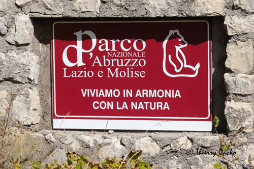 Parc National Abruzzes