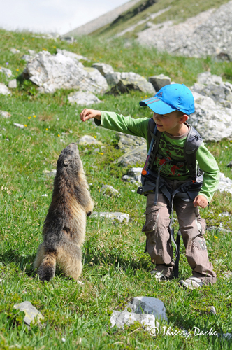 DSC_4122 Mimi et la marmotte web